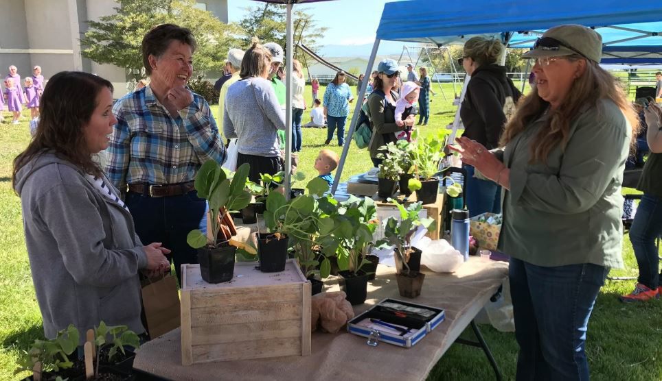 Lamoille Farmers Market
